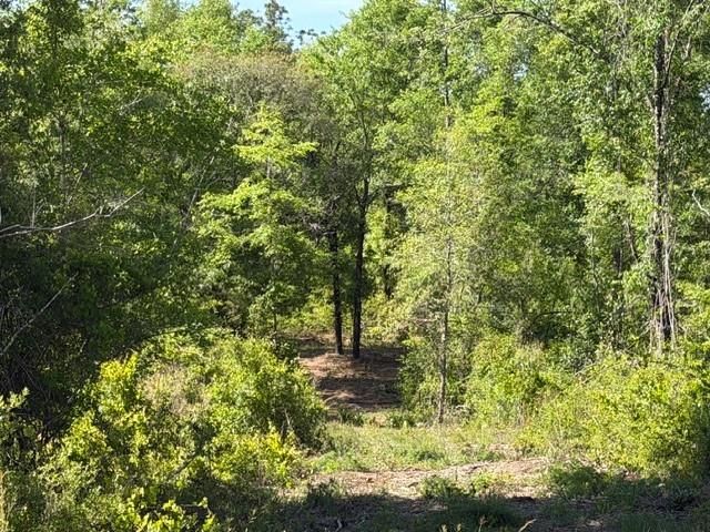 0 Sandy Creek Lane, Mobile, AL 36695