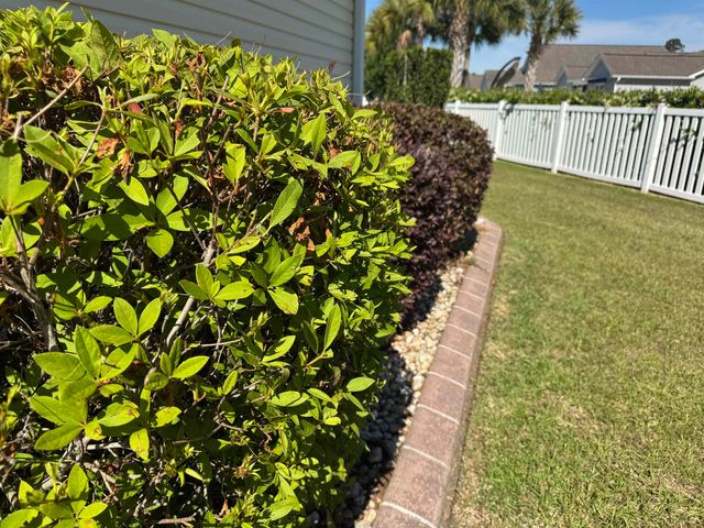 293 Southern Breezes Circle, Murrells Inlet, SC 29576