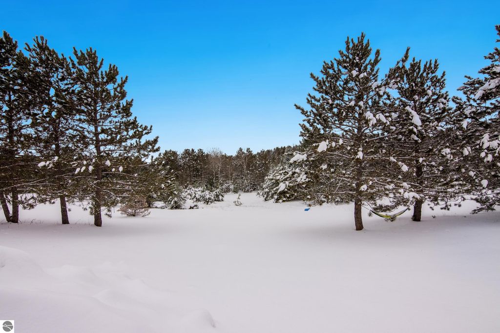 Image 24 of property listing at 1317 E Wexford Avenue, Buckley, MI 49620