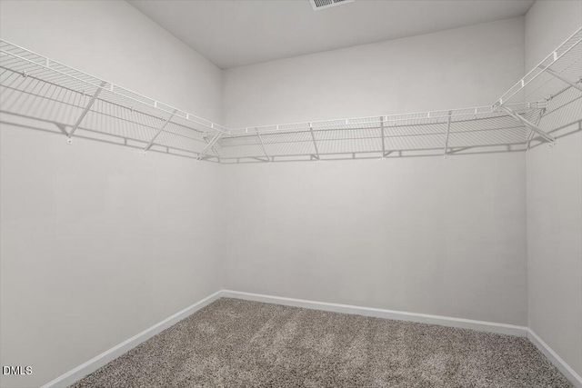 46 Coffee Tree Circle, Clayton, NC 27527
