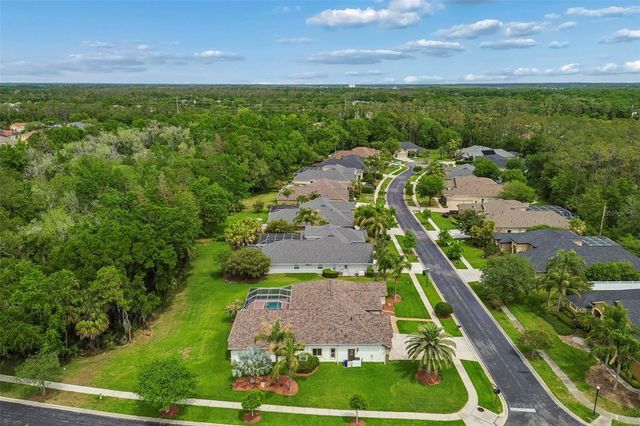 2731 BLUE SPRINGS PLACE, Wesley Chapel, FL 33544