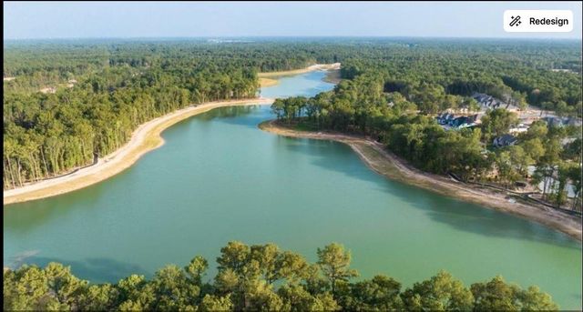 22222 Junction Peak Drive, Porter, TX 77365