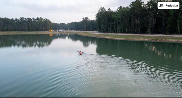 22222 Junction Peak Drive, Porter, TX 77365