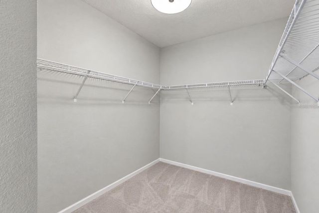 3677 AUTUMN AMBER DRIVE, Spring Hill, FL 34609