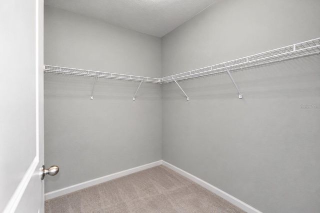 3677 AUTUMN AMBER DRIVE, Spring Hill, FL 34609