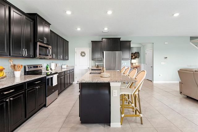 3677 AUTUMN AMBER DRIVE, Spring Hill, FL 34609