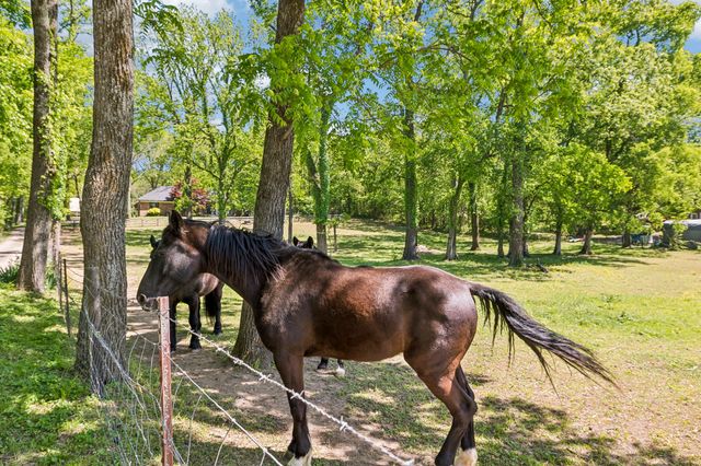 660 Allisona Rd, Eagleville, TN 37060