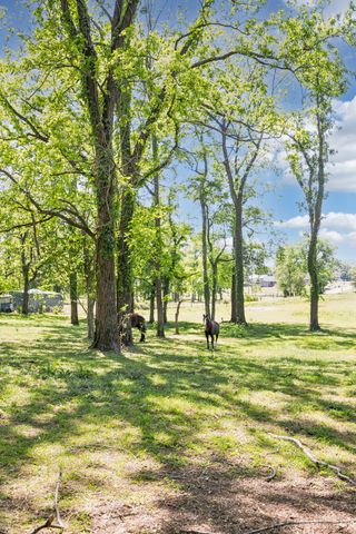 660 Allisona Rd, Eagleville, TN 37060