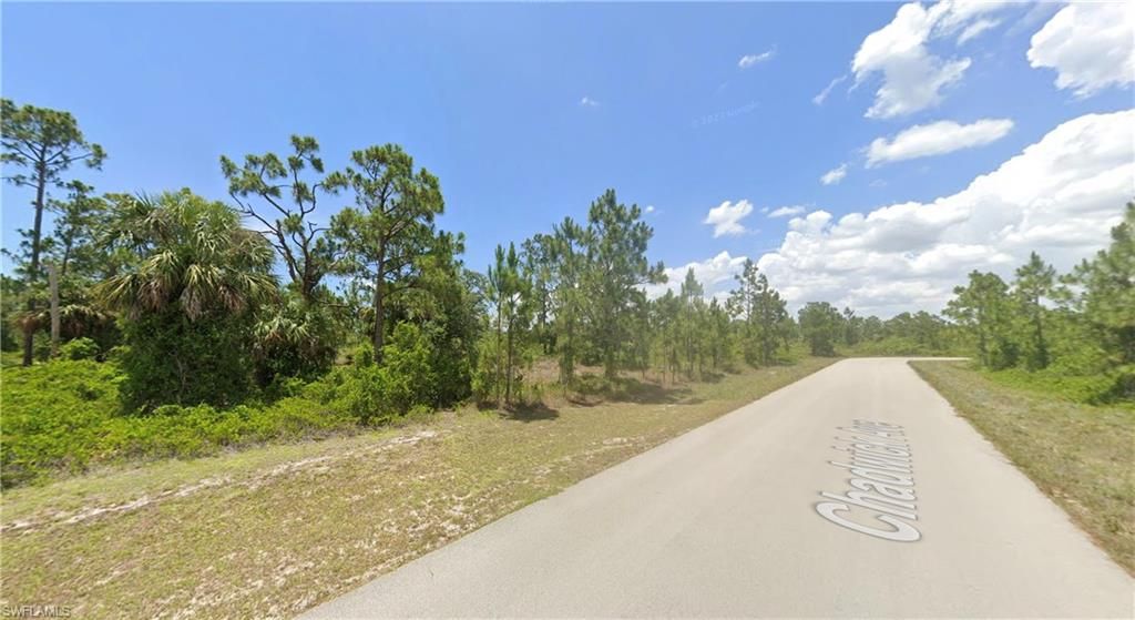 966 Chadwick ST, LEHIGH ACRES, FL 33974 — photo 3