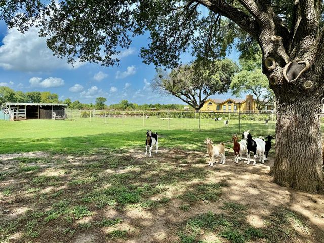 37110 Donigan Road, Brookshire, TX 77423