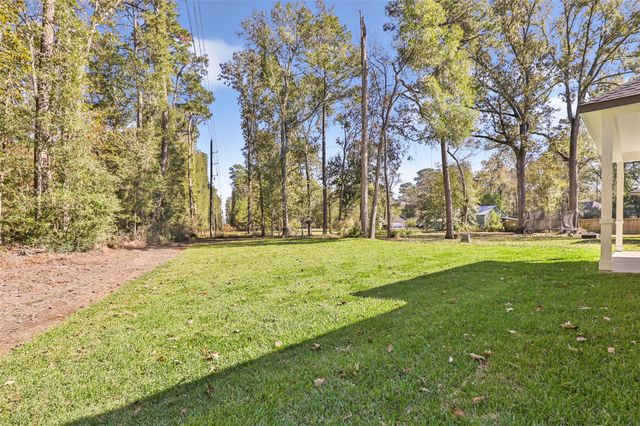 1118 Neros Palace, New Caney, TX 77357