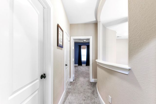 29110 Weldons Forest Court, Katy, TX 77494