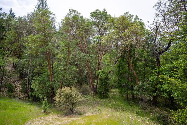 202 Westridge Drive, Grants Pass, OR 97526