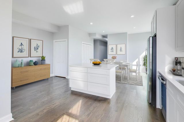 313 E 60th Street 4, Chicago, IL 60637