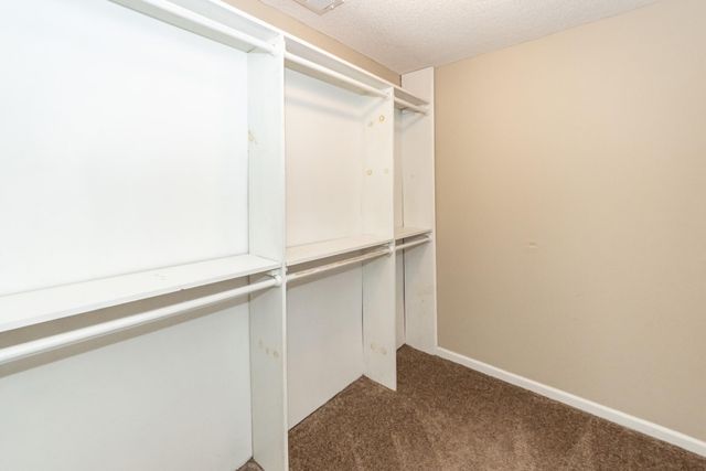 113 Delafield Drive, Summerville, SC 29483