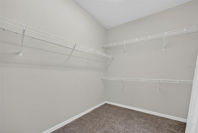1703 TERRAPIN ROAD, Ocoee, FL 34761