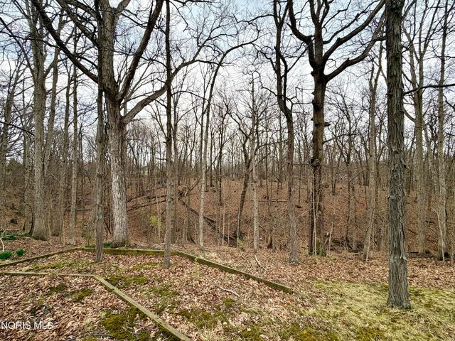 119 Cleveland Avenue, Defiance, OH 43512