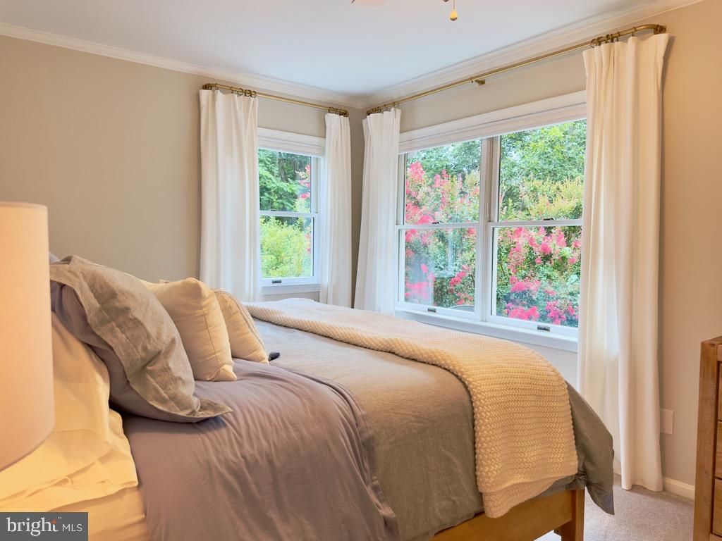 Image 50 of property listing at 14540 STIRRUP LANE, Galena, MD 21635