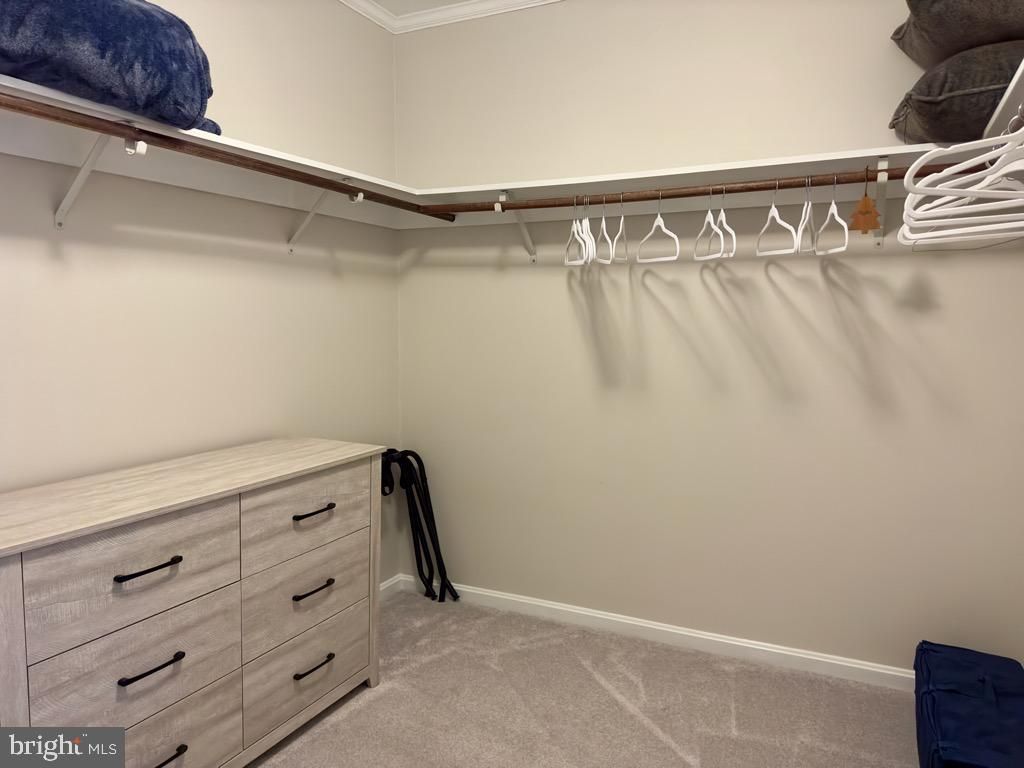 Image 64 of property listing at 14540 STIRRUP LANE, Galena, MD 21635