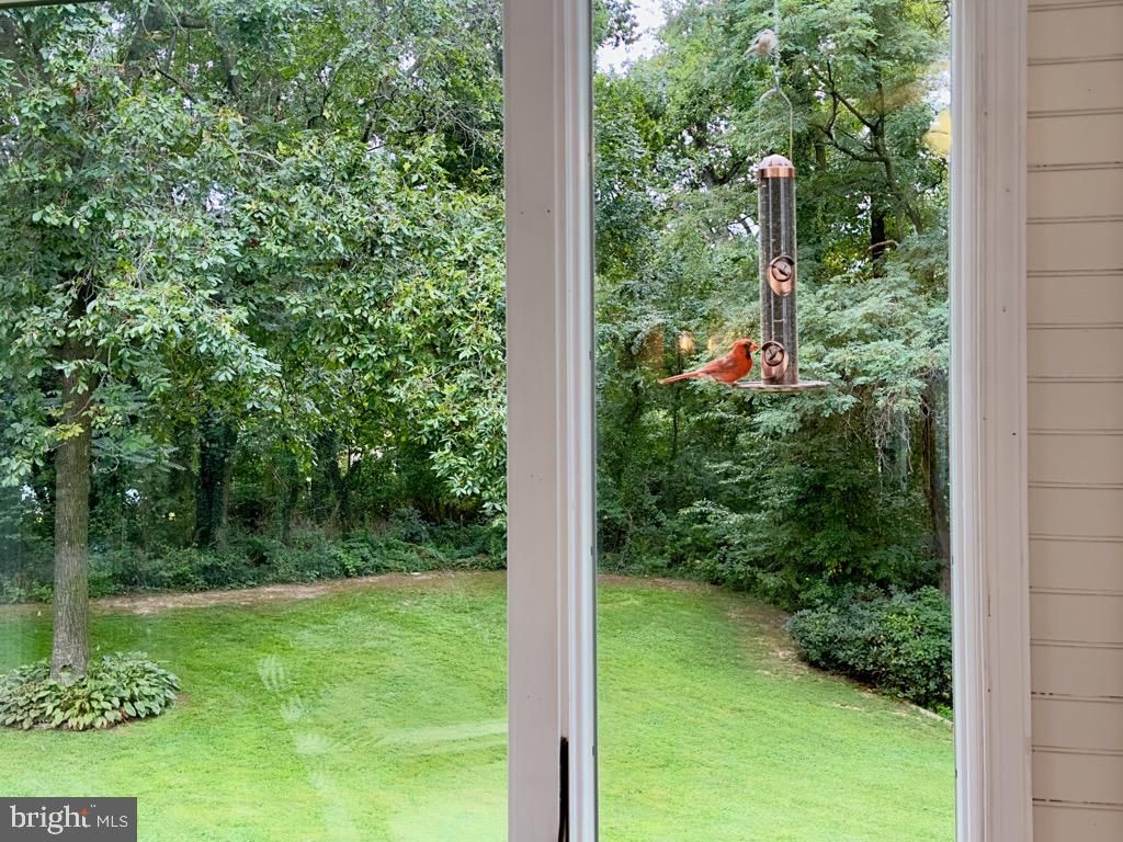 Image 74 of property listing at 14540 STIRRUP LANE, Galena, MD 21635