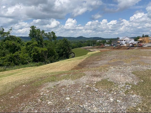 157 Berry Hunter Lane, Franklin, TN 37067