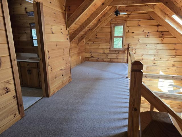 144 Cougar Lane, Blue Ridge, GA 30513