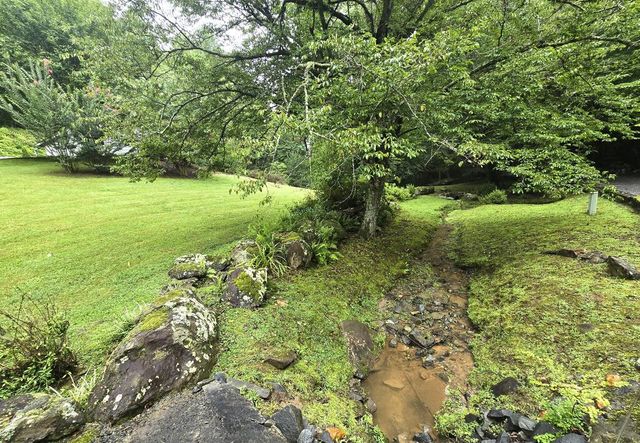 144 Cougar Lane, Blue Ridge, GA 30513