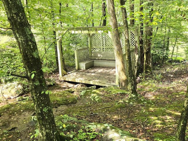 144 Cougar Lane, Blue Ridge, GA 30513