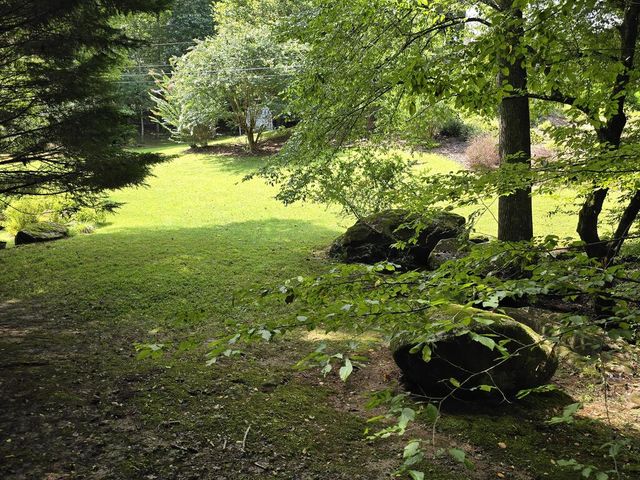 144 Cougar Lane, Blue Ridge, GA 30513
