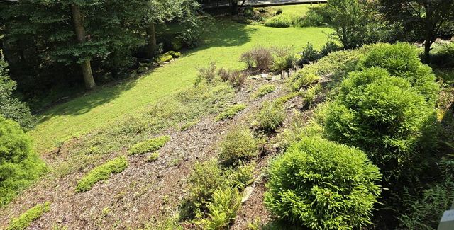 144 Cougar Lane, Blue Ridge, GA 30513