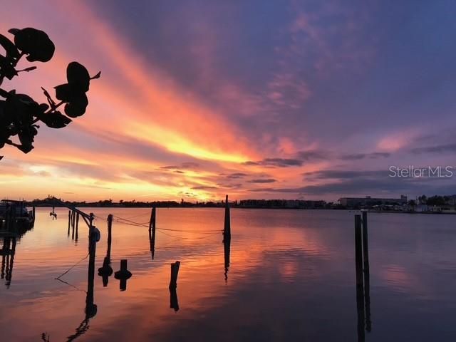 1854 DOLPHIN BOULEVARD S, St Petersburg, FL 33707