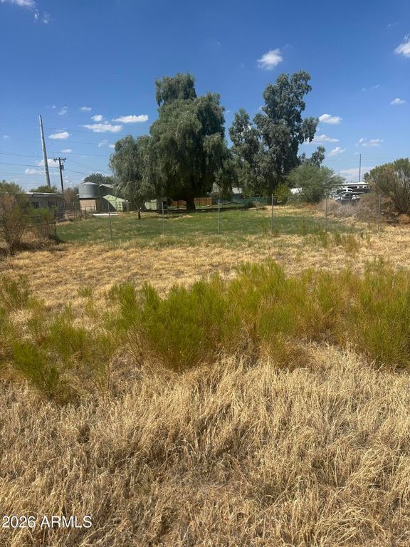14223 W Olive D Avenue, Waddell, AZ 85355 — photo 3