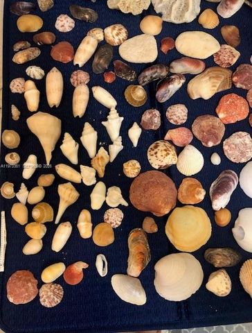 2200 S Ocean Dr N102, Hollywood, FL 33019