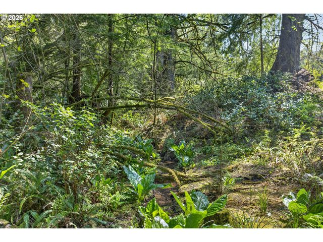 38225 Hiagua Ln N, Nehalem, OR 97131