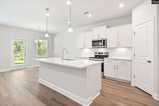 130 Monroe Preserve Lane, Chapin, SC 29036