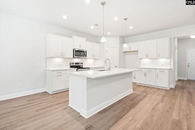 130 Monroe Preserve Lane, Chapin, SC 29036