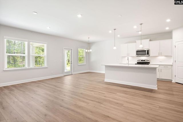 130 Monroe Preserve Lane, Chapin, SC 29036