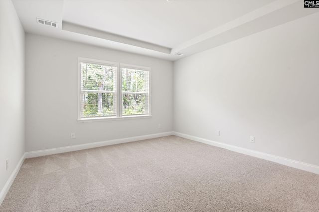 130 Monroe Preserve Lane, Chapin, SC 29036