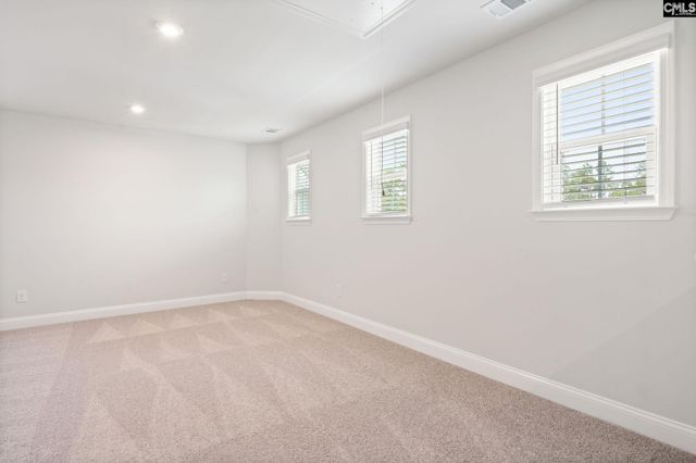130 Monroe Preserve Lane, Chapin, SC 29036