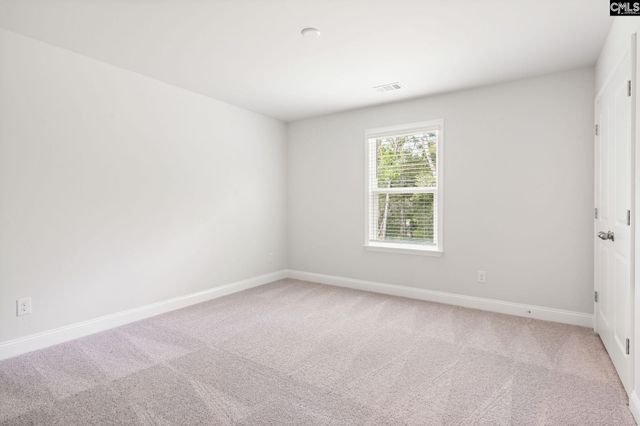 130 Monroe Preserve Lane, Chapin, SC 29036