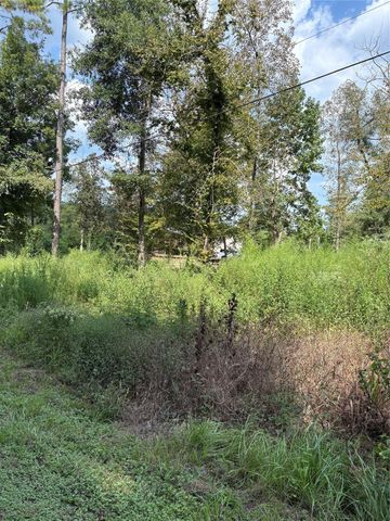 TBD Walnut Ridge Road, Livingston, TX 77351