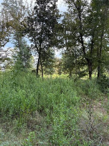 TBD Walnut Ridge Road, Livingston, TX 77351
