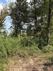 TBD Walnut Ridge Road, Livingston, TX 77351
