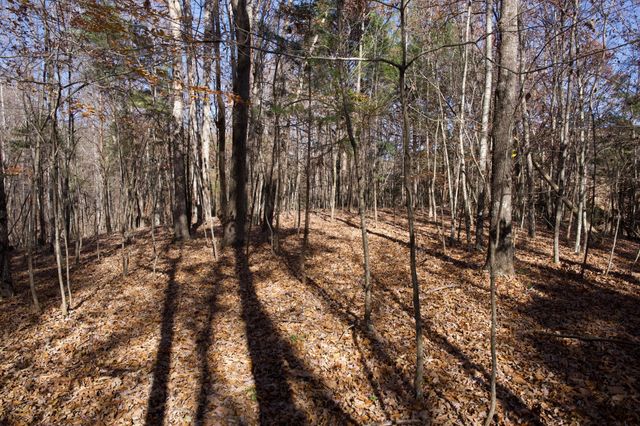 7 West of Barlow Rd, Rock Island, TN 38581