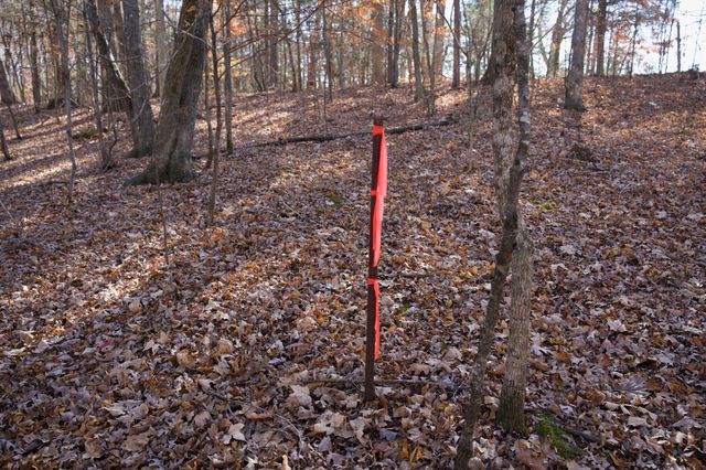 7 West of Barlow Rd, Rock Island, TN 38581