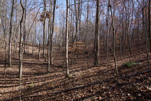 7 West of Barlow Rd, Rock Island, TN 38581