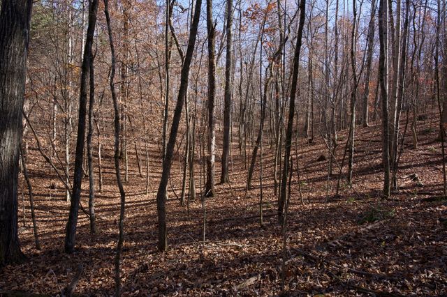 7 West of Barlow Rd, Rock Island, TN 38581