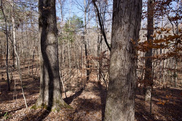 7 West of Barlow Rd, Rock Island, TN 38581