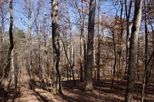 7 West of Barlow Rd, Rock Island, TN 38581