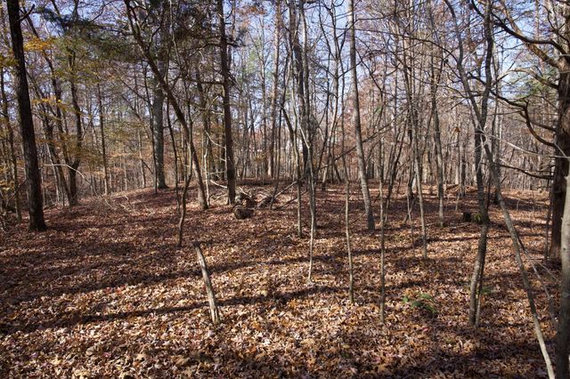 7 West of Barlow Rd, Rock Island, TN 38581